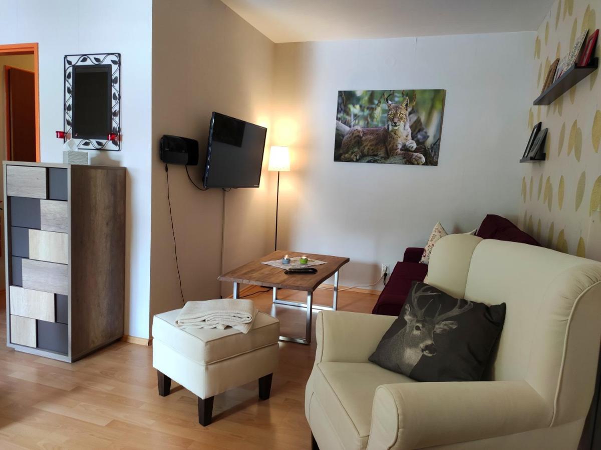 Ferienwohnung Harzluchs Mit Balkon, Netflix Und Sauna Im Haus Hohegeiss Bagian luar foto