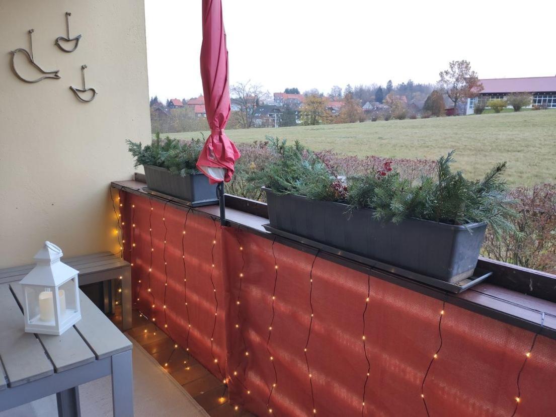 Ferienwohnung Harzluchs Mit Balkon, Netflix Und Sauna Im Haus Hohegeiss Bagian luar foto