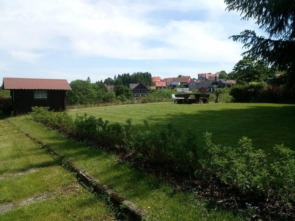 Ferienwohnung Harzluchs Mit Balkon, Netflix Und Sauna Im Haus Hohegeiss Ruang foto