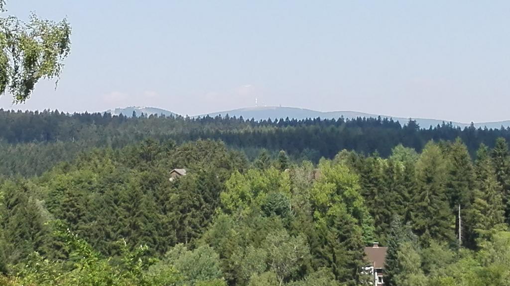 Ferienwohnung Harzluchs Mit Balkon, Netflix Und Sauna Im Haus Hohegeiss Ruang foto