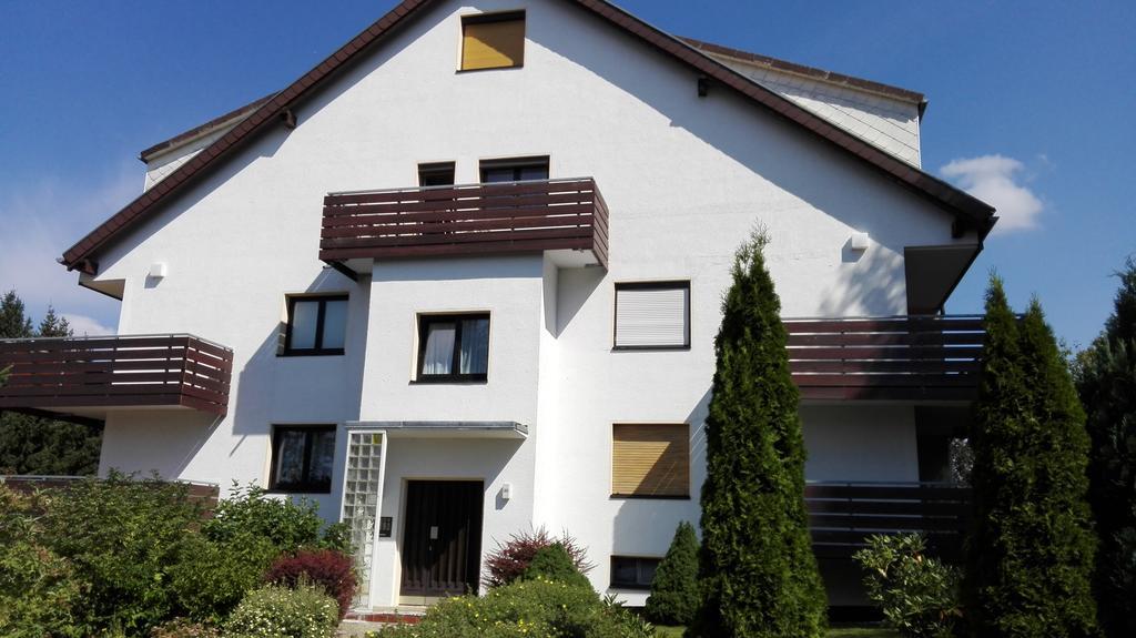 Ferienwohnung Harzluchs Mit Balkon, Netflix Und Sauna Im Haus Hohegeiss Ruang foto