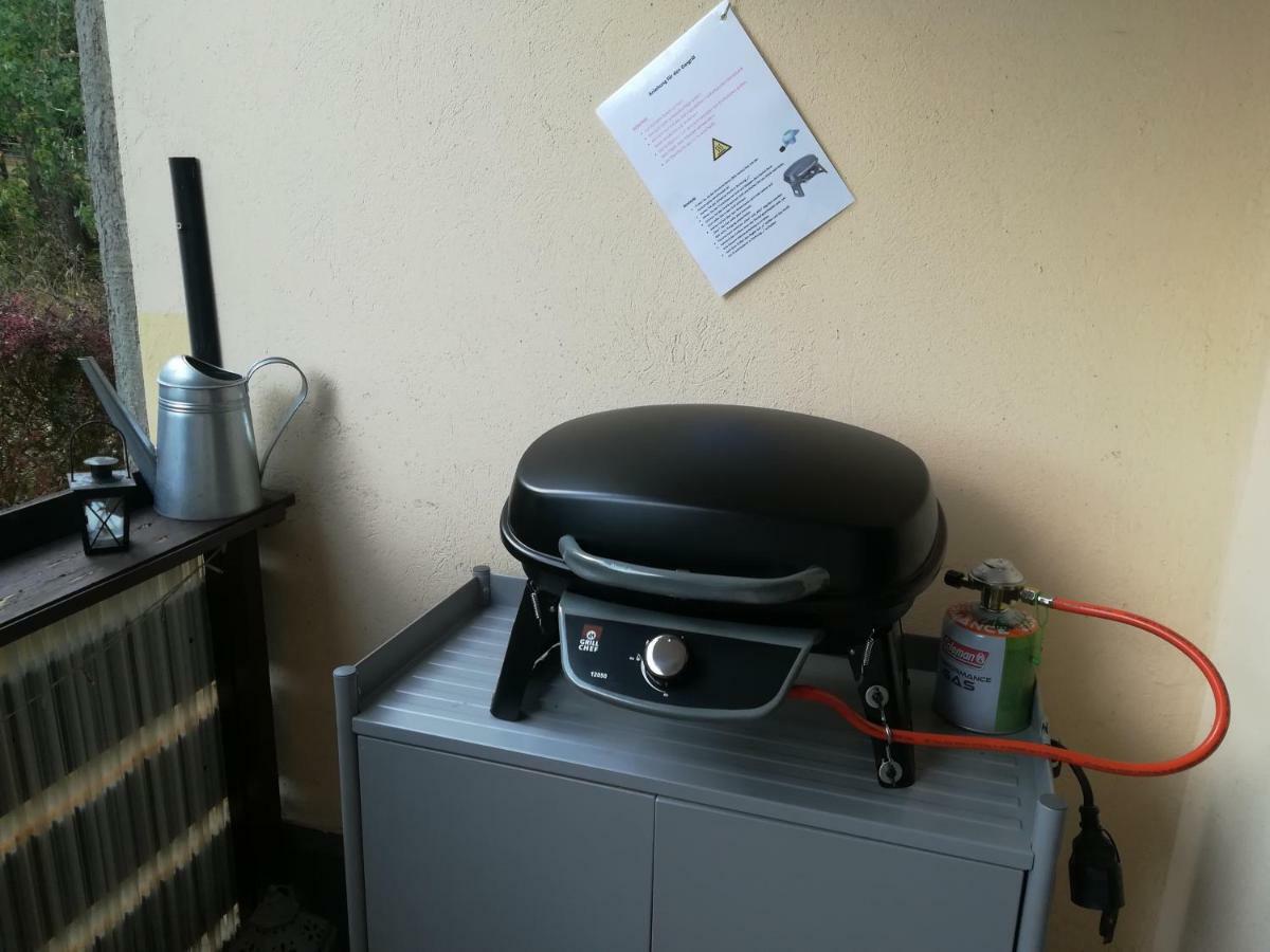 Ferienwohnung Harzluchs Mit Balkon, Netflix Und Sauna Im Haus Hohegeiss Bagian luar foto